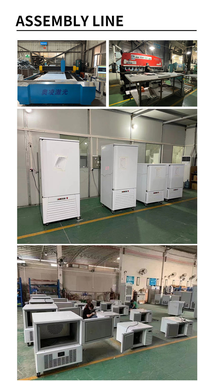 プロの送風冷凍庫チラー空冷送風冷凍庫機器 10 トレイ 11
